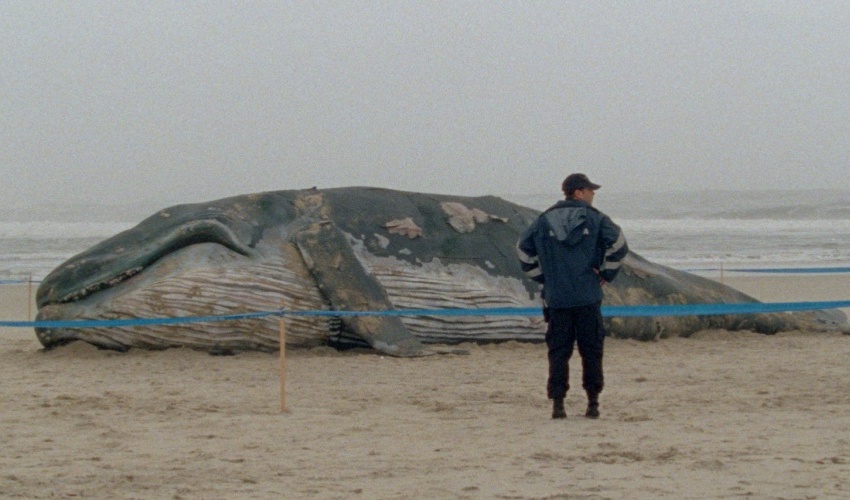 Les Mille et une nuits : L&rsquo;Inquiet 