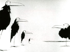 Les oiseaux sont des cons 