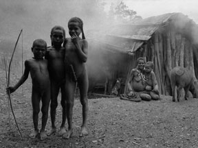 Le Ciel dans un jardin 