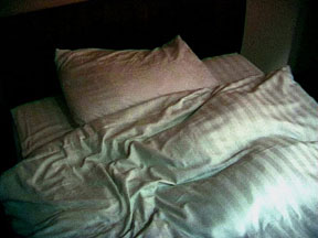 Hotel Diaries / Throwing Stones