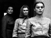 Et je salue les hirondelles