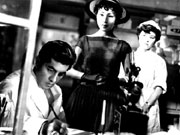 Chacun dans sa coquille