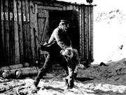 La liberté, c&rsquo;est le paradis