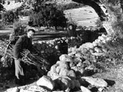 La Route d&rsquo;une année 