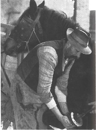 L&rsquo;Arbre aux sabots 