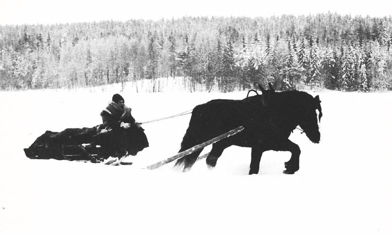 Les Lumières du Nord 