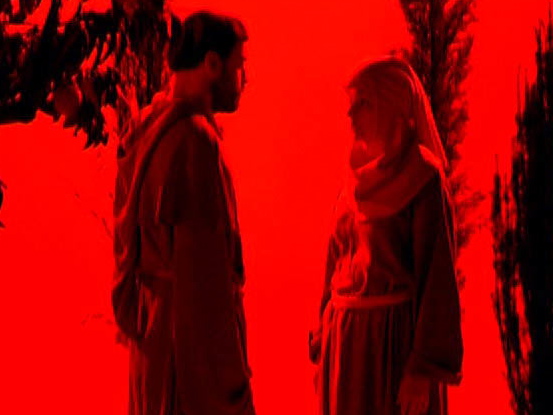 Cântico das criaturas