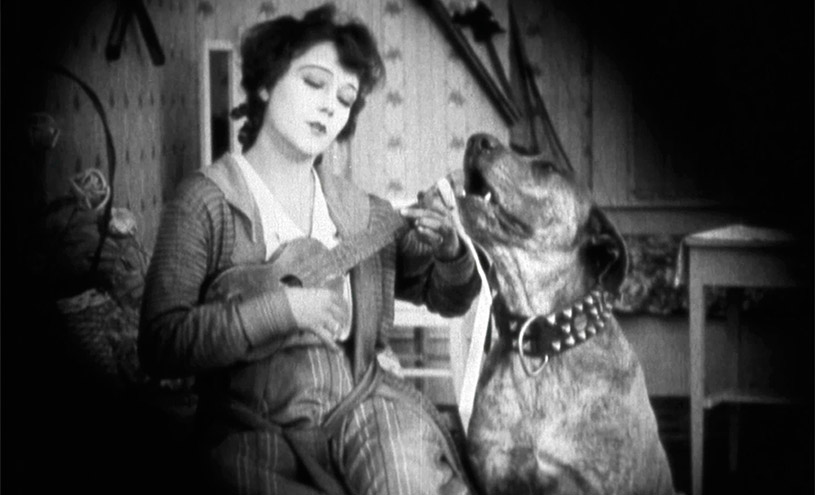 Teddy at the Throttle