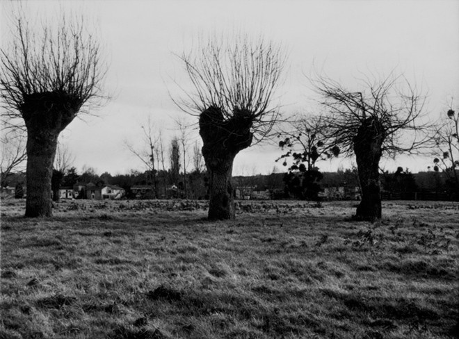 Itinéraire de Jean Bricard